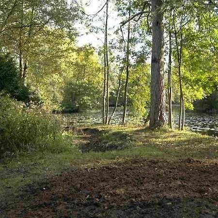 La Maison De Lavande